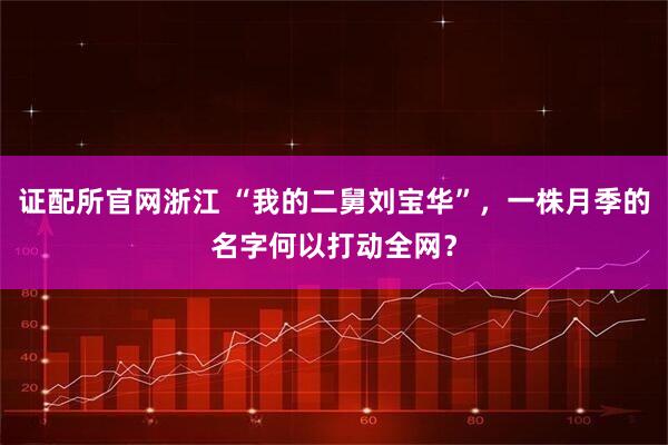 证配所官网浙江 “我的二舅刘宝华”，一株月季的名字何以打动全网？