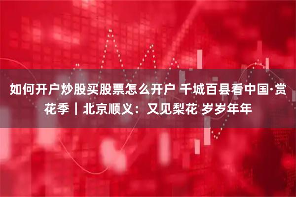 如何开户炒股买股票怎么开户 千城百县看中国·赏花季｜北京顺义：又见梨花 岁岁年年