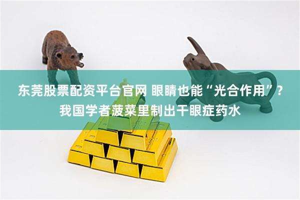东莞股票配资平台官网 眼睛也能“光合作用”?我国学者菠菜里制出干眼症药水