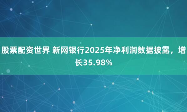 股票配资世界 新网银行2025年净利润数据披露,增长35.98%