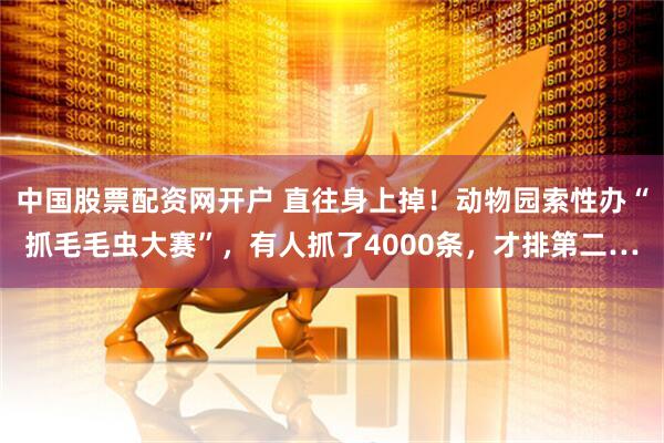 中国股票配资网开户 直往身上掉！动物园索性办“抓毛毛虫大赛”，有人抓了4000条，才排第二…